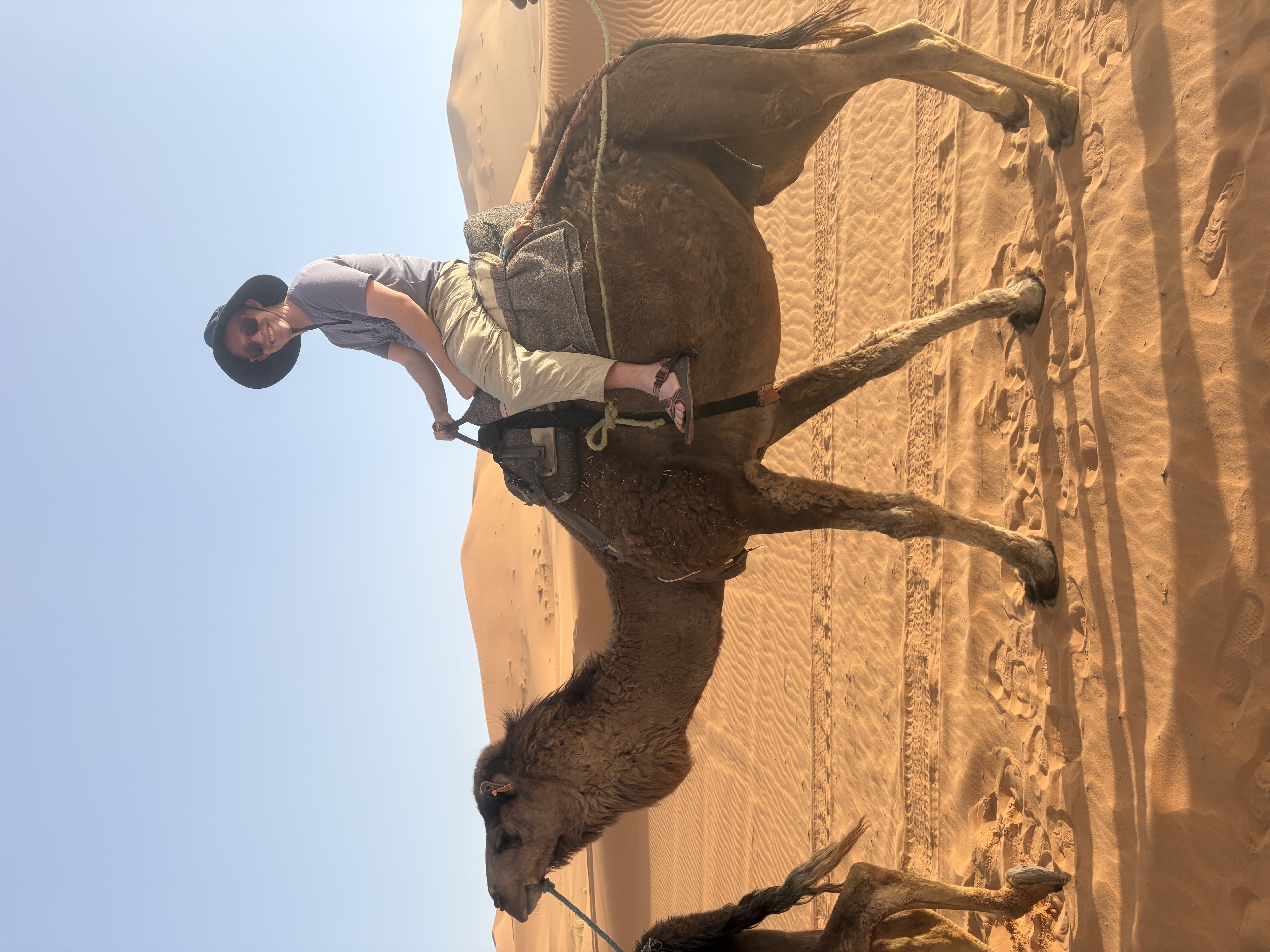 Riding a camel through the Sahara Desert during the Global Scholars trip to Morocco.
